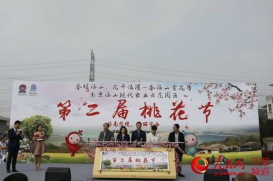 南京江宁汤山街道第二届桃花节在宁西村举办