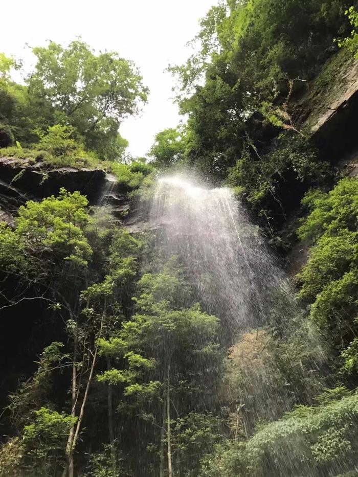 探秘湘西丨走进小溪原始次森林，感受12℃的盛夏！揭开“中南十三省唯一天然资源宝库”神秘面纱！