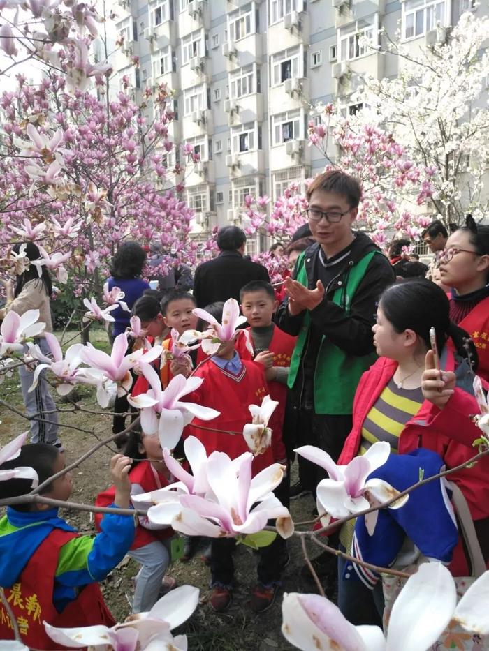 【活动发布】鹅掌楸、银杏、水杉……周六到南林大认识美丽大树！