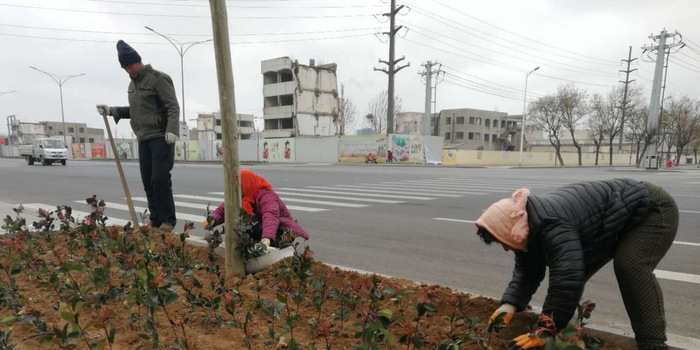 潍坊寿光:精细化管理 提升城区绿化水平