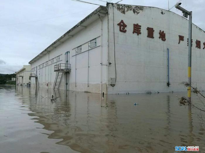 中江国家粮食储备库库区全体员工抢险救灾坚守一线将库区损失降到最低