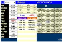 嘉艺控股(01025)暗盘收跌1.02%，每手亏40港元