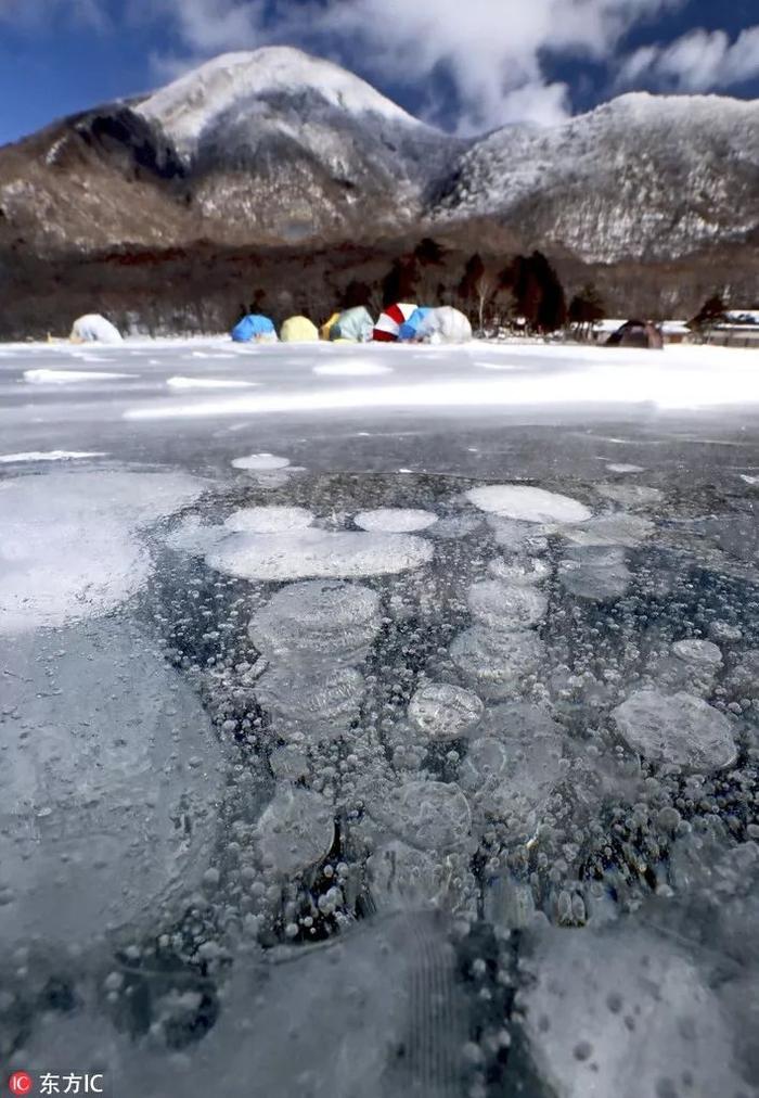 自然 | 美！日本湖面现“冰冻气泡” 奇观，如梦似幻