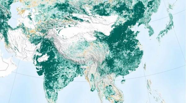 中国3分钟 | 中印行动主导 地球比20年前更绿了