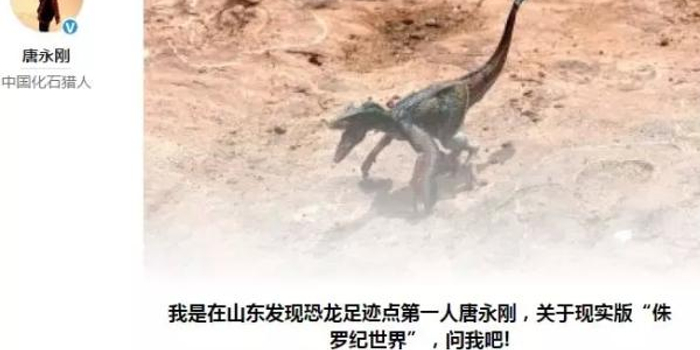 问吧精选|侏罗纪 猜想证实,我发现山东大型恐