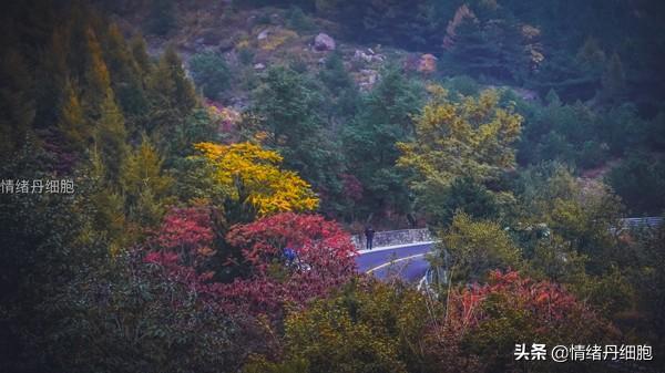 玩转北京房山十月秋色，游红井路、逛南窖古村、采摘大滩乡红肖梨