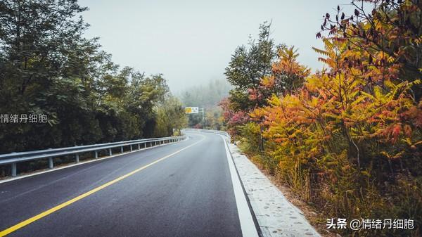 玩转北京房山十月秋色，游红井路、逛南窖古村、采摘大滩乡红肖梨