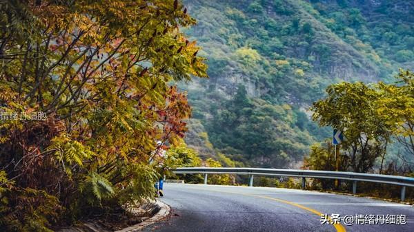 玩转北京房山十月秋色，游红井路、逛南窖古村、采摘大滩乡红肖梨