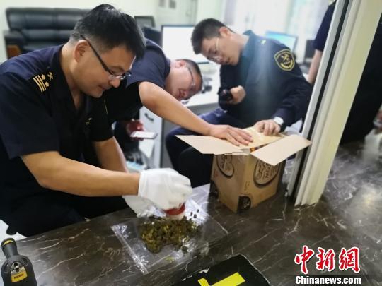 呼和浩特海关查获多起保健品夹藏大麻走私案 均来自加拿大