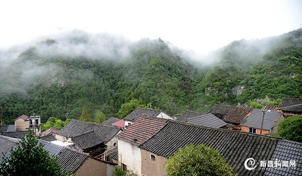 咱们村游去④｜安山吃茶听雨看风景