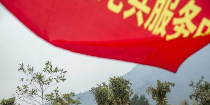 湖北省通山县审计局退休干部退伍老兵参加植树