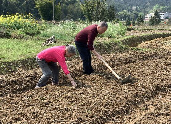 【“最美林业人”系列报道】赣州林业人张斌——“绿色银行”的建造者