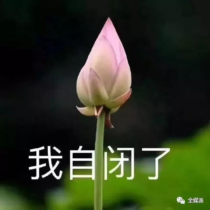 中年流量媒介形象图鉴：“大叔”的新风口、“大妈”的尬与惑