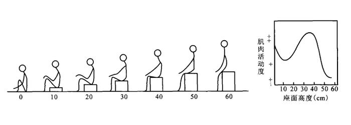 知识 ｜ 家具设计中的人体工程学
