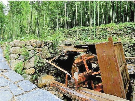 临安高虹镇：依托独特的生态优势打造“龙门秘境”山村振兴样板