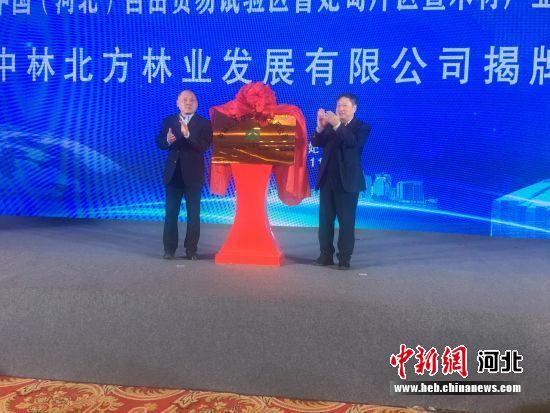 中国（河北）自由贸易试验区曹妃甸片区暨木材产业推介大会举行