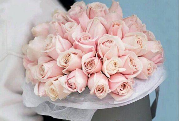 喜欢玫瑰，就养盆“精品玫瑰”粉红雪山，不娇媚不艳丽，可爱美丽
