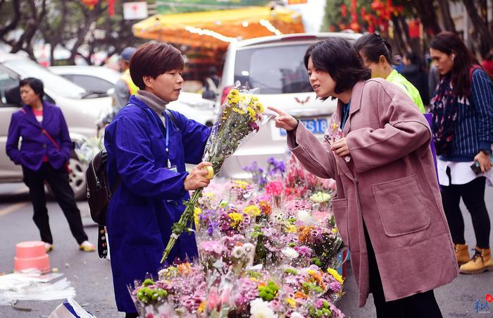 海珠花市便又靓，来逛逛吧！