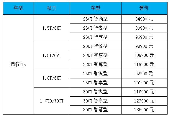 以“智能社交”重新定义爆款 风行T5正式“C位”出道