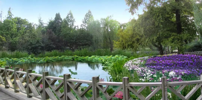 赏花 孙文莲池.jpg