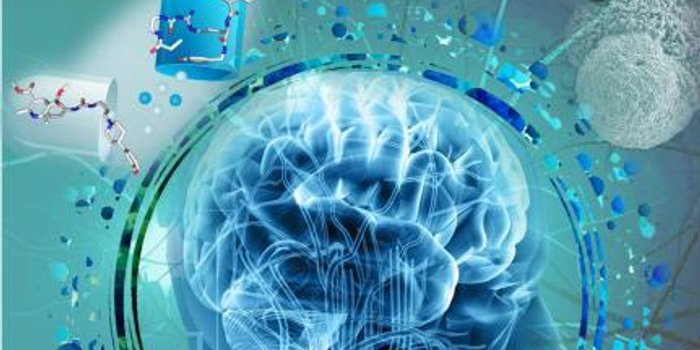 中外科学家取得抗肥胖药物靶点新突破