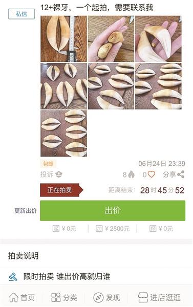 有人在网络拍卖平台上称有虎牙及兽皮出售