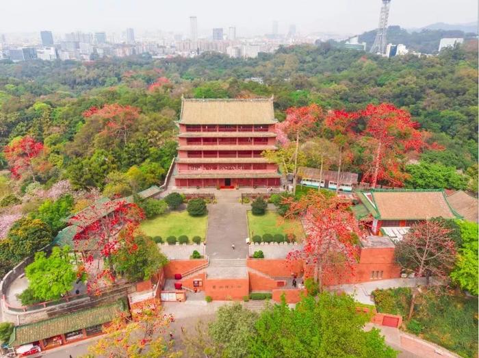 潮爆！今年广州花市即将开锣！灯光秀、“水上花园”...等你来！