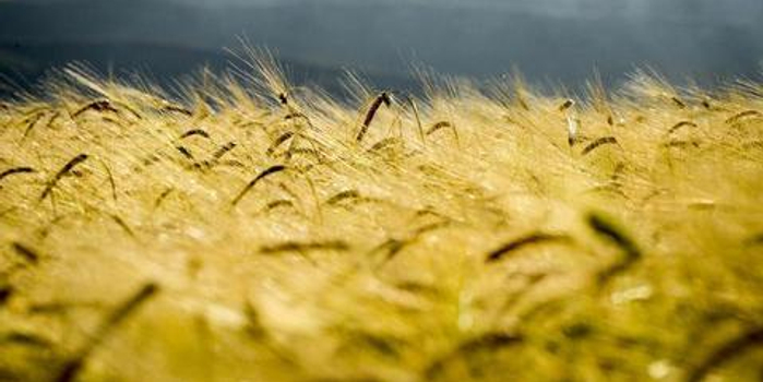 外媒:中国农业转型模式为发展中国家提供范本