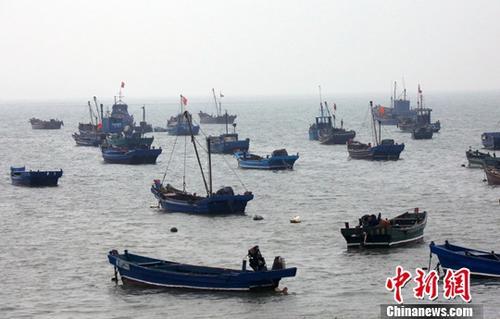  资料图：长岛是山东省唯一的海岛县，素有“海上仙山”“避暑胜地”之称。中新社记者 任海霞 摄