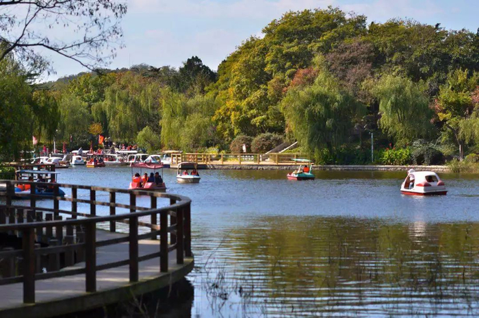 赏花 湖光山色.jpg