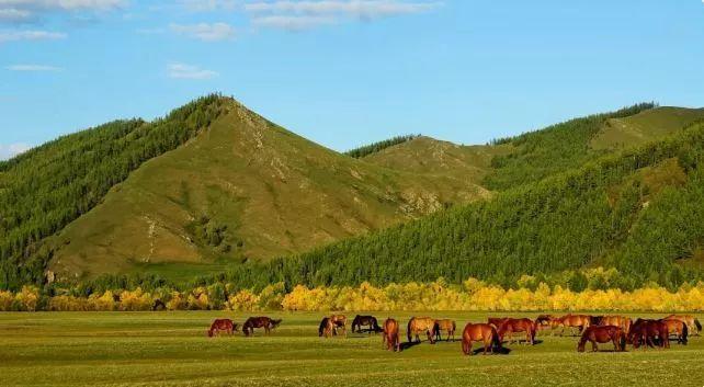 畅游•中国内蒙古之科尔沁五百公里风景大道 处处美景动人心弦