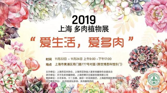 官宣：多肉圈一年一度的盛会——“2019上海多肉植物展”来了