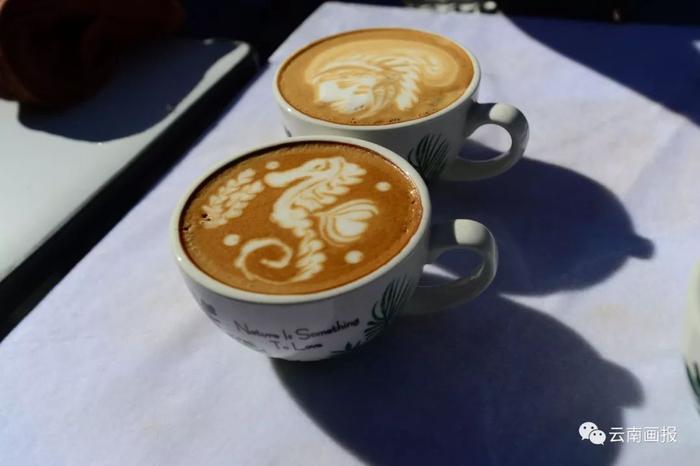 “喝中国人自己的咖啡”   第三届保山咖啡文化节在“中国咖啡第一村”举行