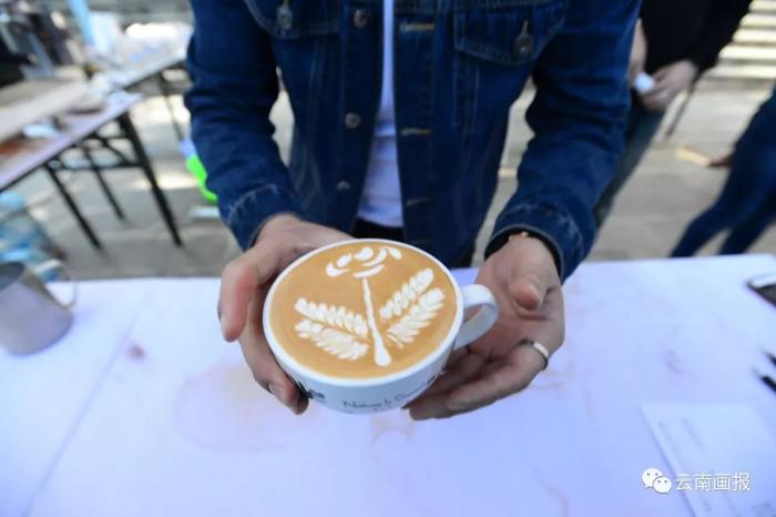 “喝中国人自己的咖啡”   第三届保山咖啡文化节在“中国咖啡第一村”举行