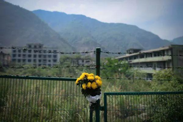北川老县城地震废墟上的鲜花