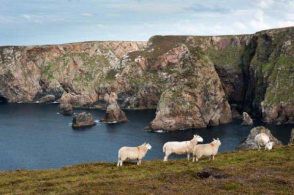 爱尔兰一小岛仅剩469人 岛民写信邀请外国人迁入