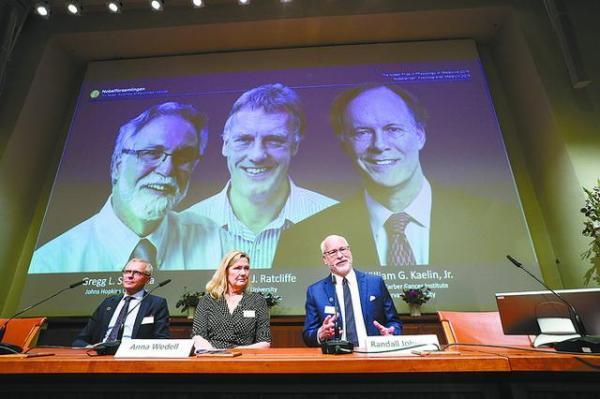 3名科学家夺2019诺贝尔生理学或医学奖，解读获奖研究成果