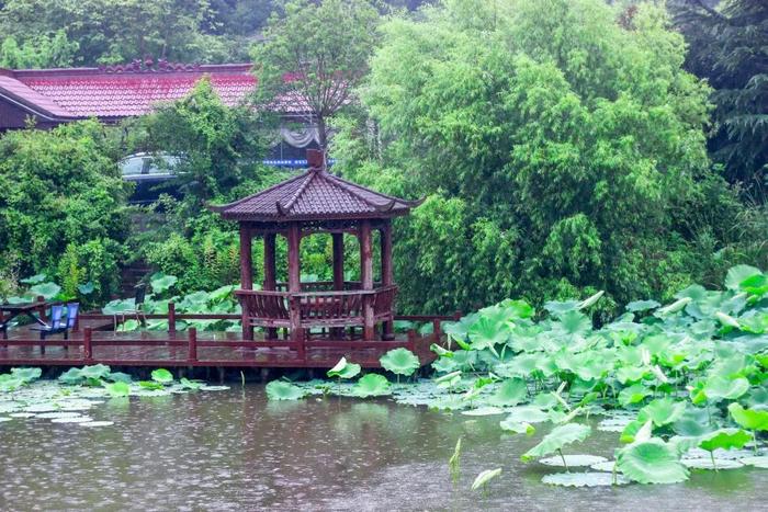 南京室内溜娃宝典！没想到下雨天还能这么玩！