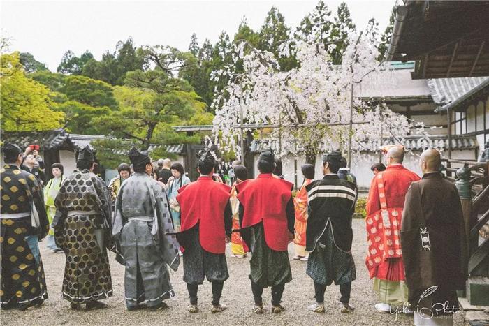 五入京都，探寻日式庭院的细节之美