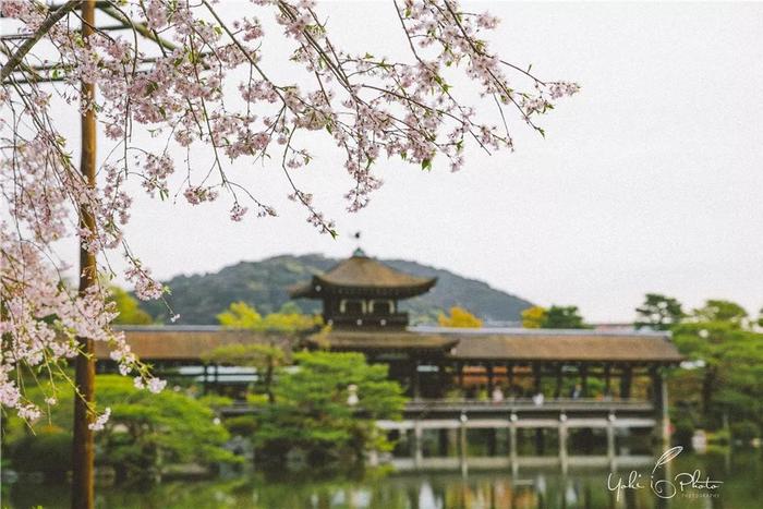 五入京都，探寻日式庭院的细节之美