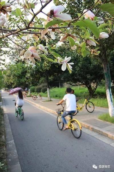 南京南站附近这些道路的颜值又双叒叕提升了！