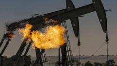油价入熊新兴市场有喜有忧 OPEC会否减产下月见分晓