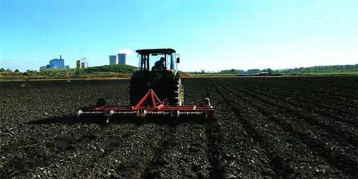 春播调研:东北三省一区玉米种植新增面积低于