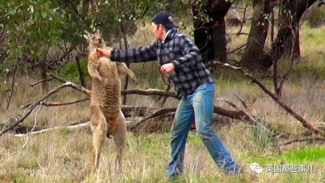 你以为狂野澳洲只有动物很野？没想到这里的男人更野啊哈哈哈！！