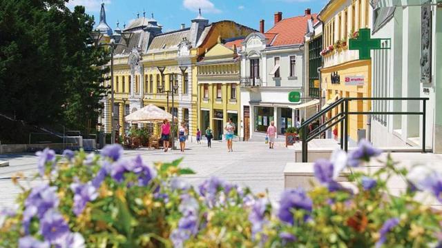 匈牙利维斯普雷姆市被联合国 教科文组织评为全球创意城市