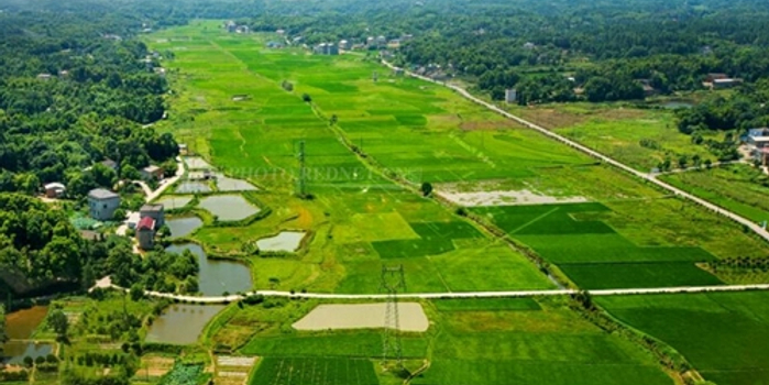 左舒艳:运用好互联网技术建设县域农业品牌