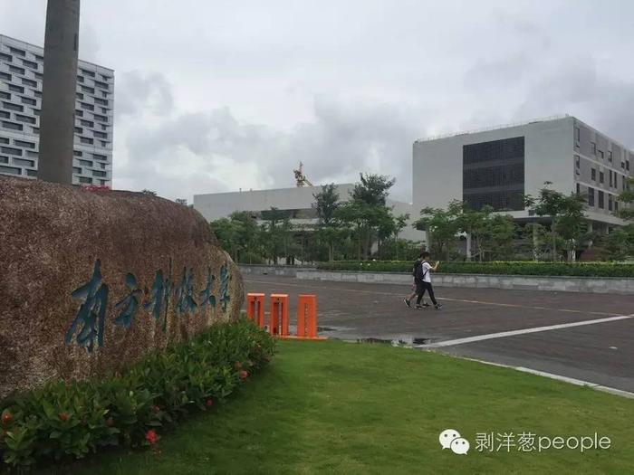 南科大校园。新京报记者安钟汝 摄