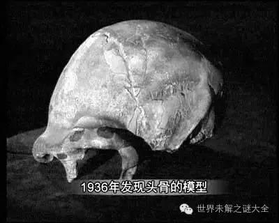 阿波丸号宝藏之谜：整船黄金不翼而飞