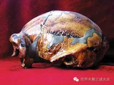 阿波丸号宝藏之谜：整船黄金不翼而飞