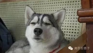 这四个字，不是南京人还真看不懂！